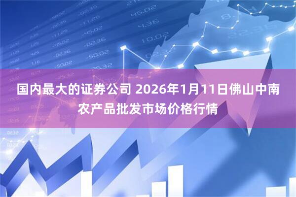 国内最大的证券公司 2026年1月11日佛山中南农产品批发市场价格行情